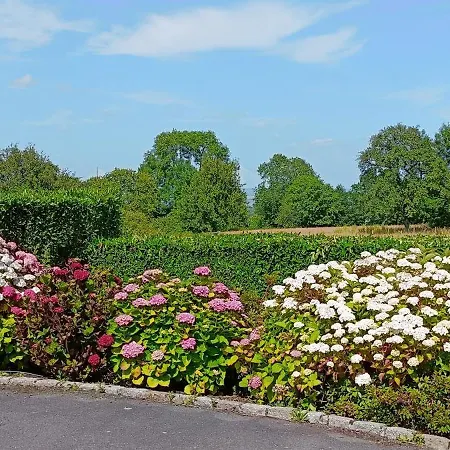 La Maringotte 펜션